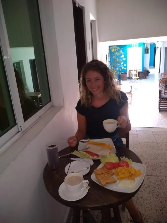 Casa Noah Hostel Santa Marta  Santa Marta (Magdalena)